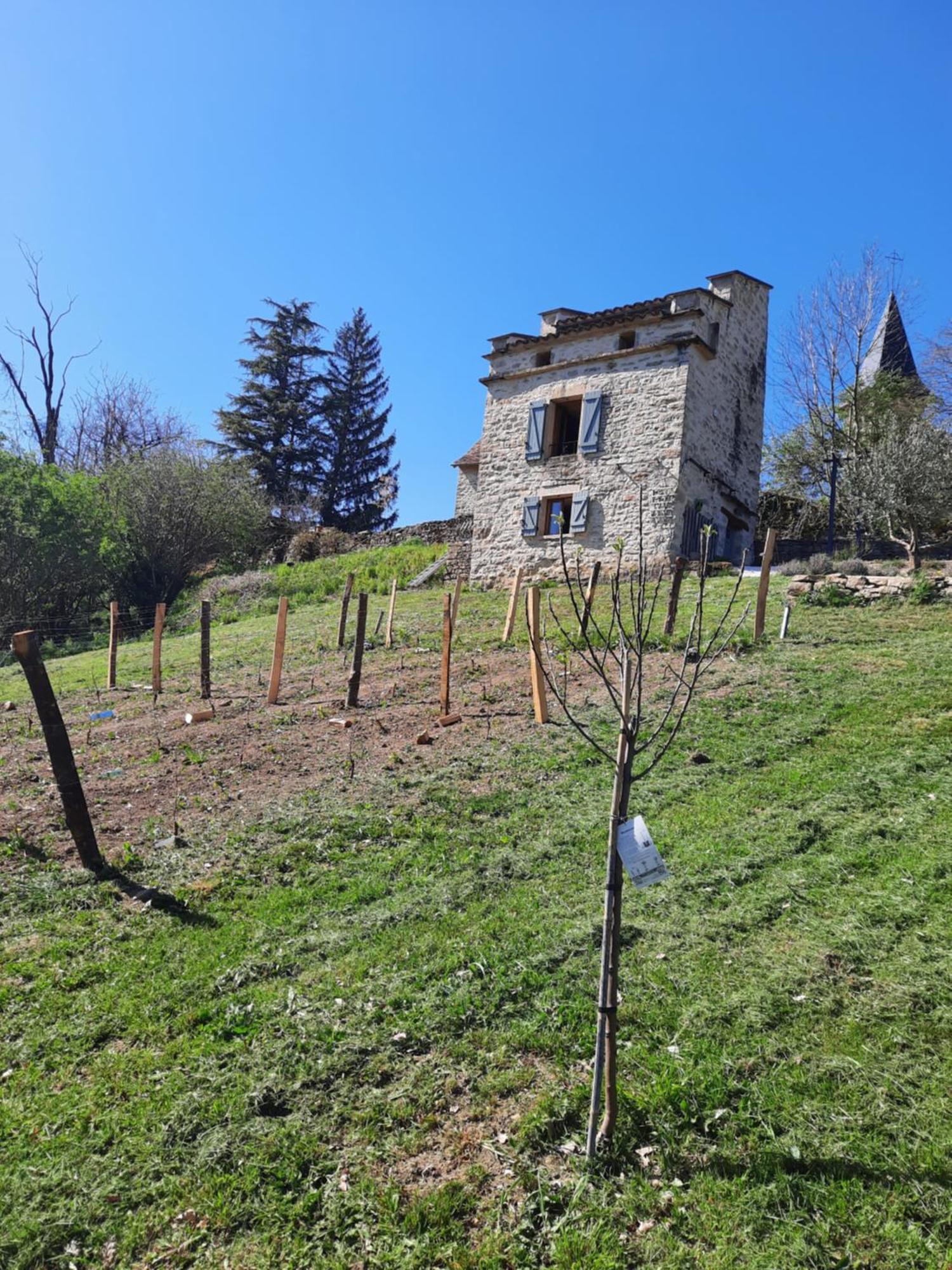 Villa Le Pigeonnier De Felines Caylus Camera foto